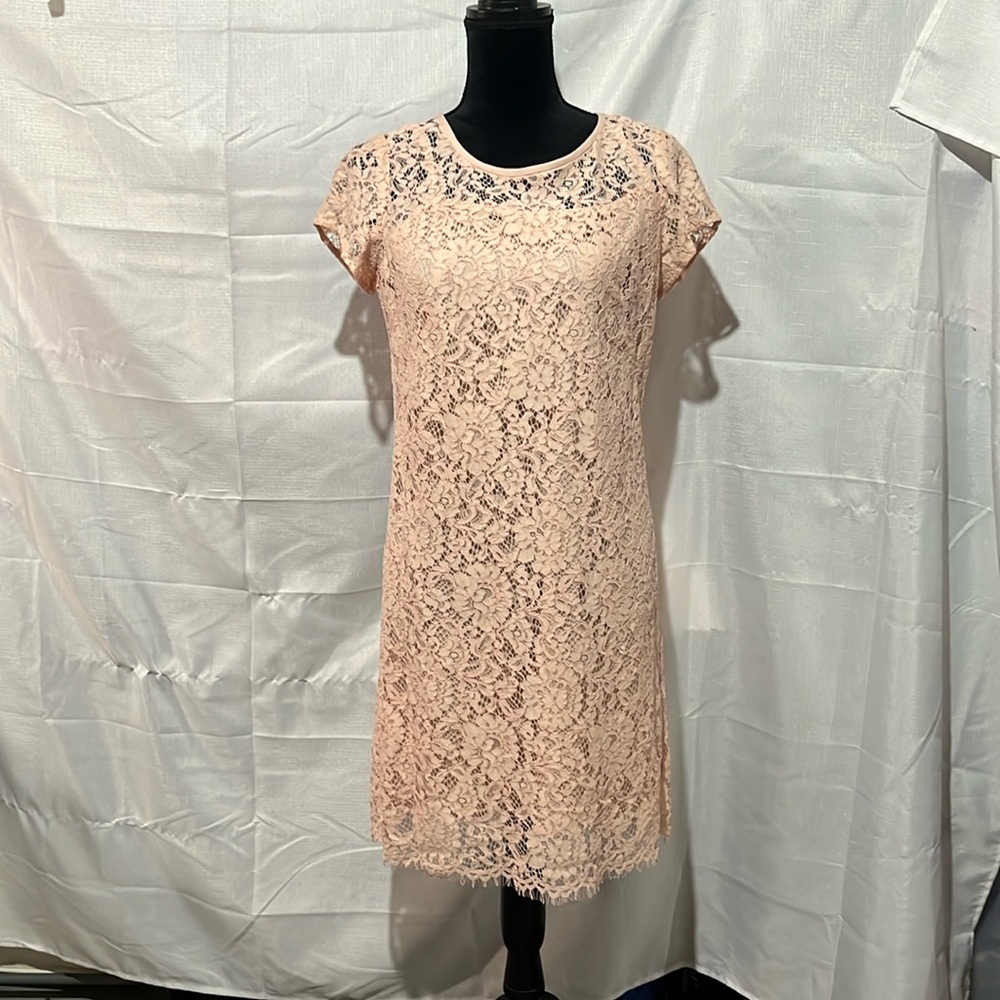 Loft Ann Taylor Lace Cami Slip Dress